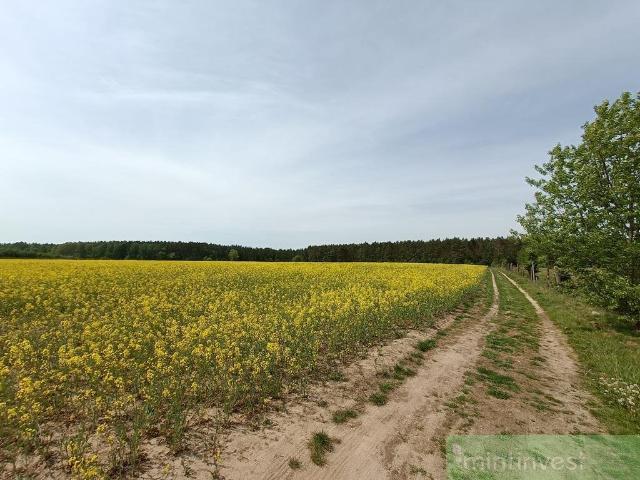 Zapraszam do zakupu działki 1304 m² pod zabudowę w Stawnie