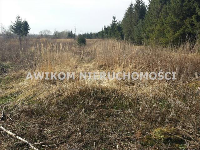 Zapraszam do zakupu działki 20 200 m² w Szeligach, z możliwością zabudowy i usług agro turystycznych