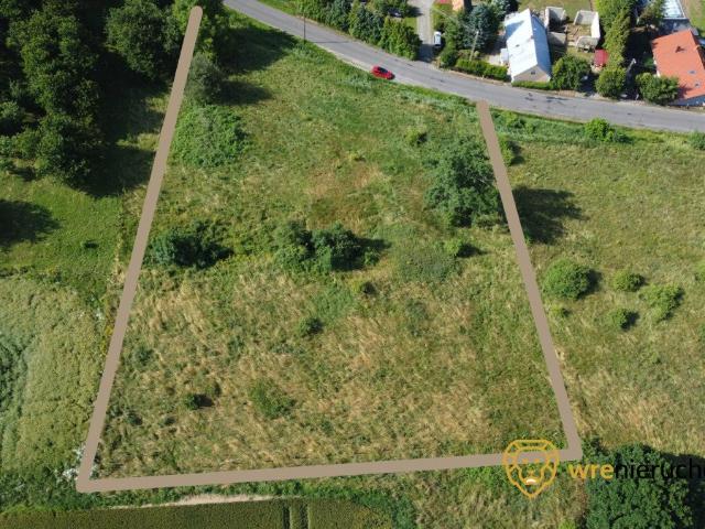 Zapraszam do zakupu działki 6243 m² z MPZP w Jędrzejowicach