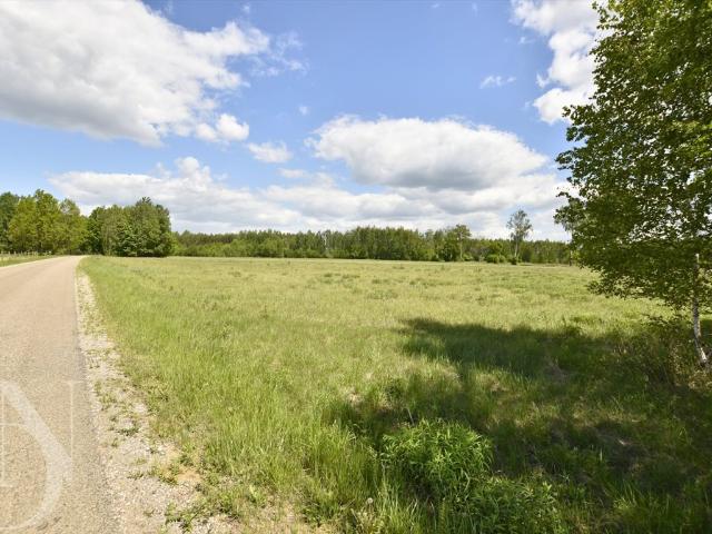 Zapraszam do zakupu działki 9661 m² w Olchówce