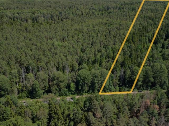 Zapraszam do zakupu lasu 41,9 ha w Narewce