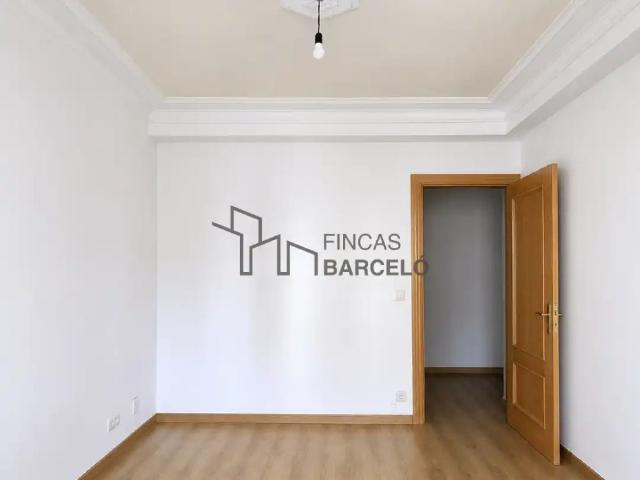 Zaragoza