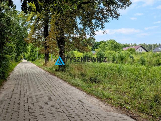 Zaskoczyn, 982 m2
