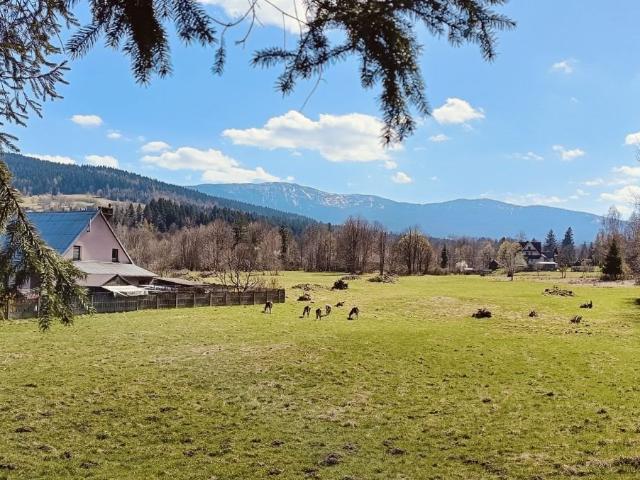 Zawoja, 56,33 m2