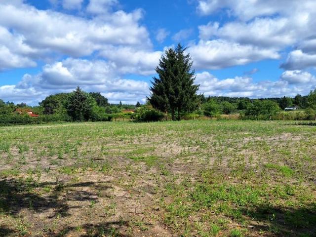 Zbożowa 2 850 m², Zielona Góra