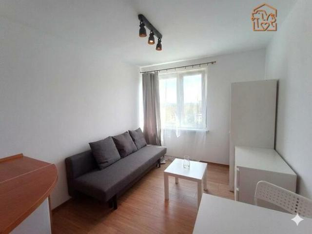 Zbigniewa 2, przyjazne zwierzętom studio