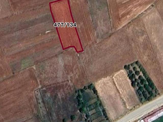 ZG GAYRİMENKUL'DAN KORKUTELİ TAŞKESİĞİ KÖYÜNDE TARLA