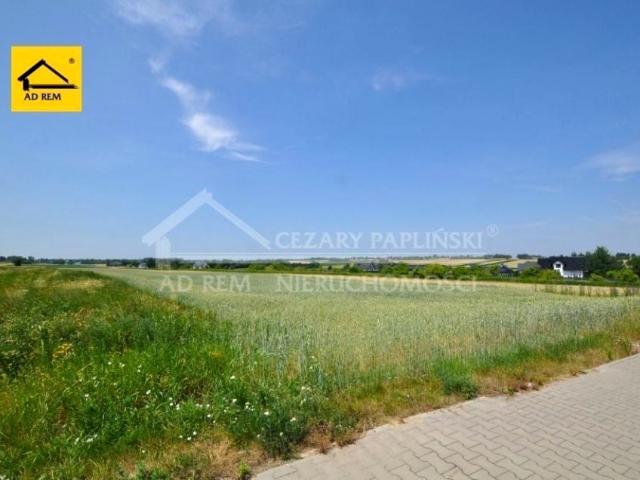 Zdrowa 2 407 m², Lublin