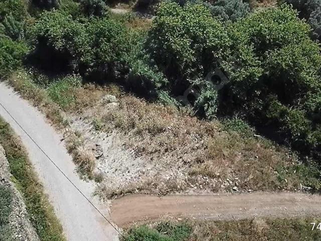 ZEMAKS,tan 380 m2 EK MÜSTAKİL TAPULU BUTİK BAHCE