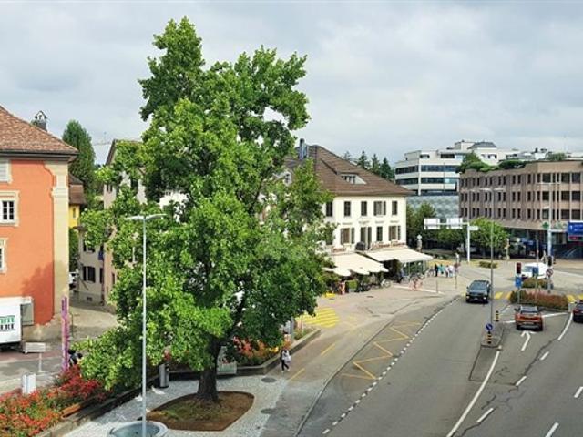 ZENTRAL UND LICHTDURCHFLUTET MIT BALKON
