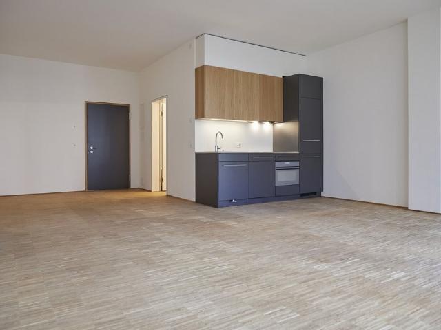 Zentrale 1.5 Zimmer Wohnung im Kreis 4