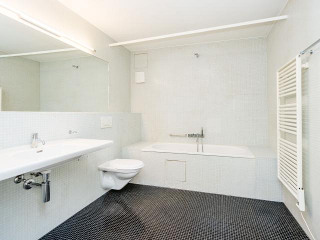 Zentrale Traumwohnung sucht Nachmieter per 01.04.2025! Dreamo. Ch