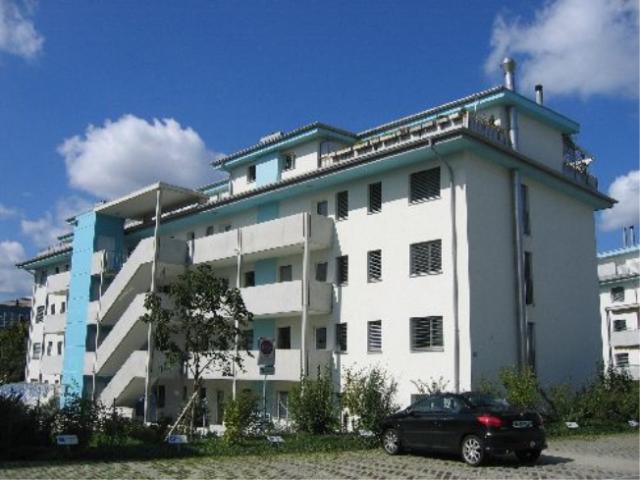 Zentrale Wohnung in Wallisellen gesucht