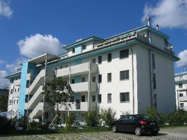 Zentrale Wohnung in Wallisellen gesucht?