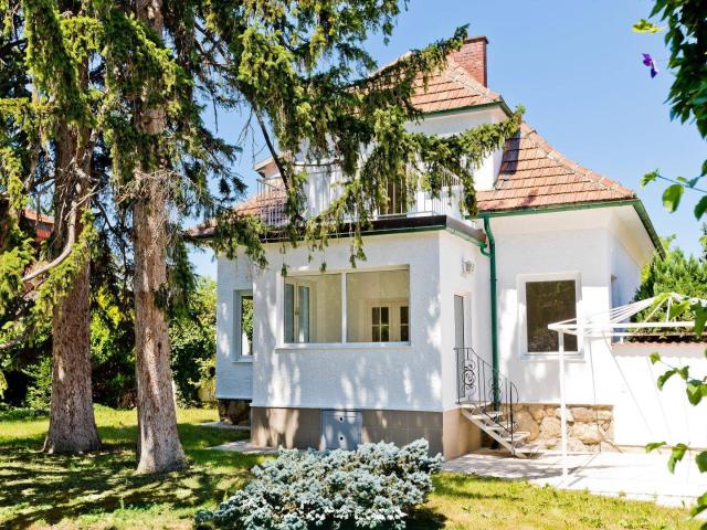 Zentrumsnahes charmantes Haus mit Pool und Garage perfekt für Pärchen oder mit Potential für Familien