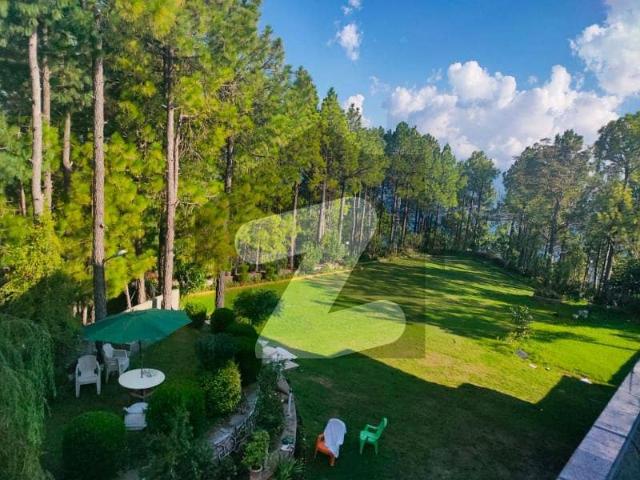 ZEEE Marketing & Builder Offers 1 Kanal Near to Golf & THEME Park Awesome Location Possession Plot in DHA 9 Prism Available