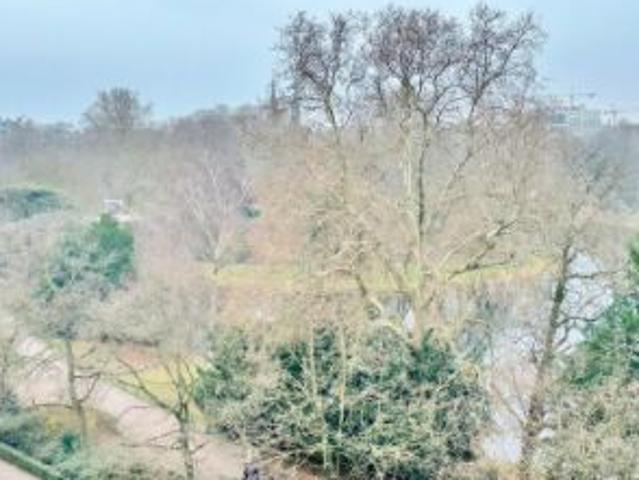 Zeer riant appartement aan Stadspark!