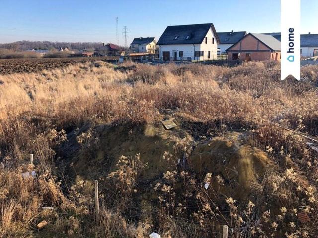 Zefirka 850 m², Opole