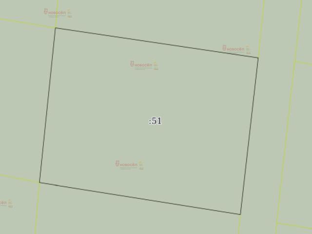 Зеленый Бор с