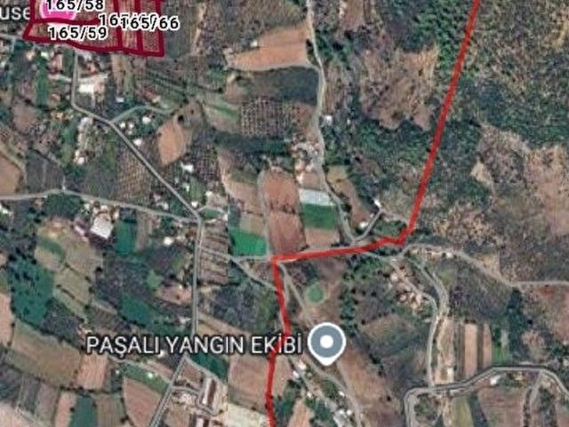 ZELİŞ EMLAKTAN SEYDİKEMER PAŞALI KÖYÜNDE YÜKSEK KALİTEDE ESKİ ZEYTİN AĞAÇLI VERİMLİ TEK TAPU TARLA