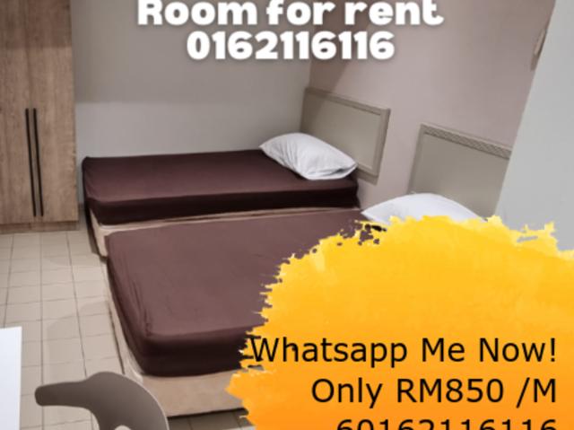 Zero Deposit️Double Single Bed Room for Rent @ Damansara Utama WiFi A/C