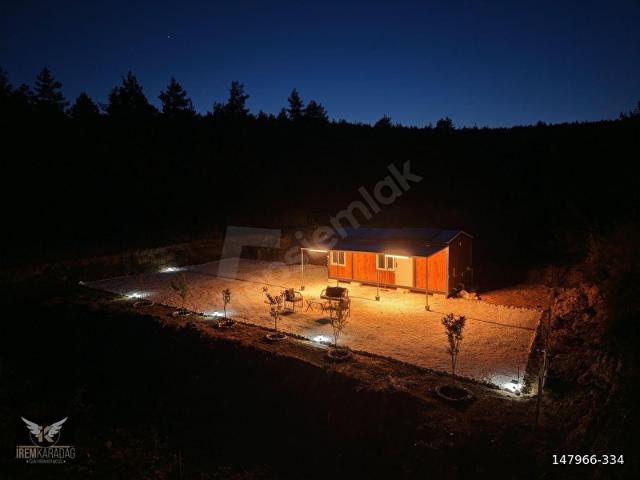 ZEYTİN AĞAÇLARI İÇİNDE KONTEYNERLİ NEBİKÖY TARLASI