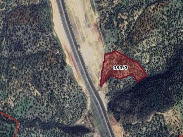 ZEYTİNDAĞDA OTOBAN YANI SATILIK ZEYTİNLİK