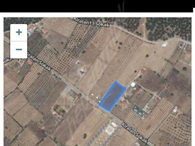 ZEYTINALANINDA TEK PARÇA 4220M2 ARSA