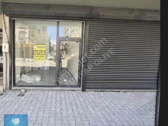 Zeytinburnu Turyap Olıve