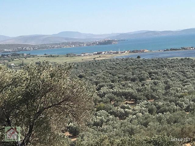 Zeytindağ Mavi Kent'de Satılık Yatırımlık İmarlı Manzaralı Arsa