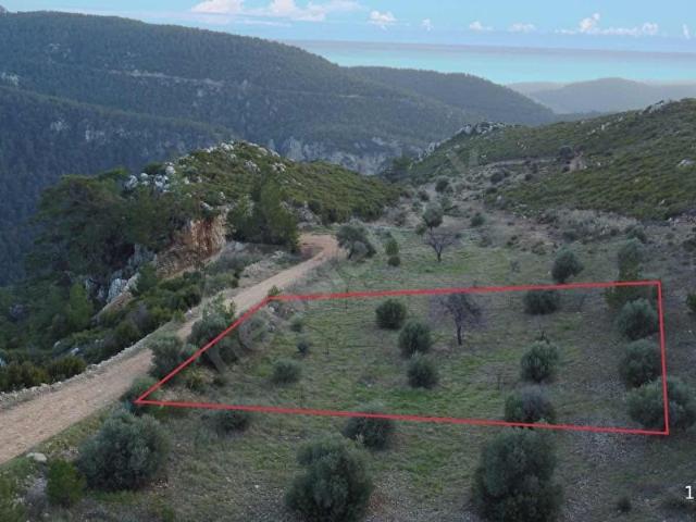 Zeytinköy Mahallesinde Manzaraya Hakim 1670m2 Arazi Satılıktır