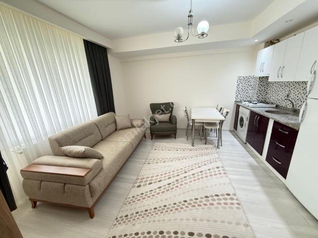 Zeytinköy Mahallesinde Arakat Balkonlu Eşyalı 1+1 Kiralık Apart