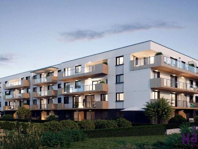 Ziębicka 58 m², Poznań
