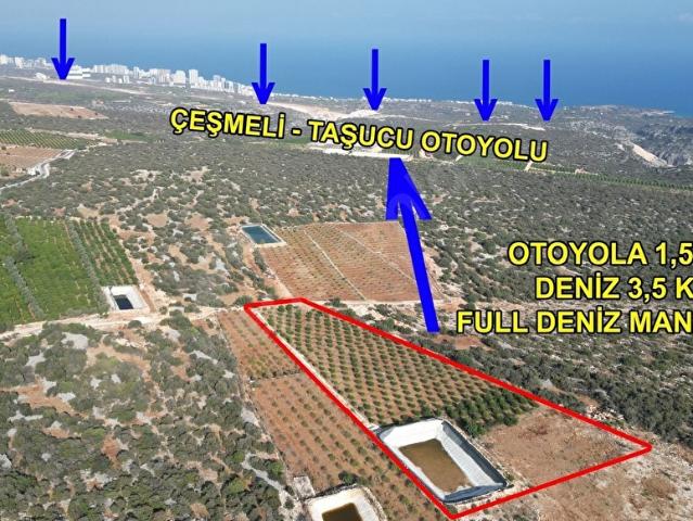ZİRVE EMLAKTAN FULL DENİZ MANZARALI 7762 M2 LİMON BAHÇESİ