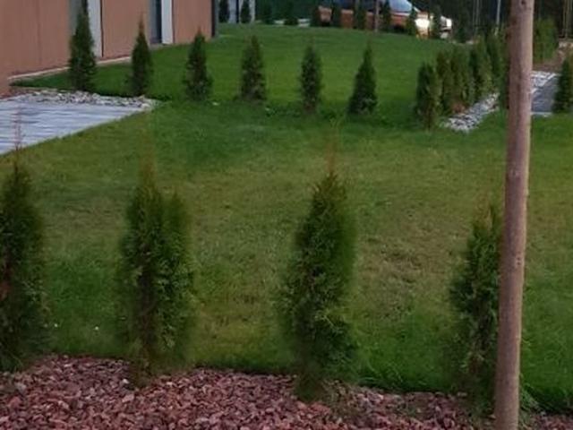 Zimowa Apartamenty