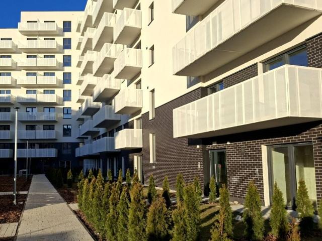 Ziarnista 40,82 m², Poznań