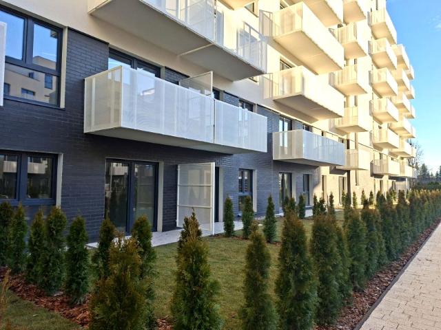 Ziarnista 41 m², Poznań