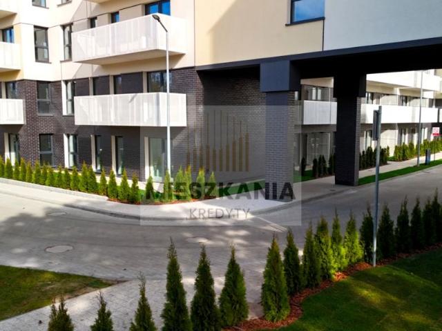Ziarnista 41 m², Poznań