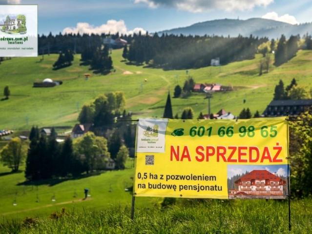 Zieleniec 5 758 m², Duszniki Zdrój