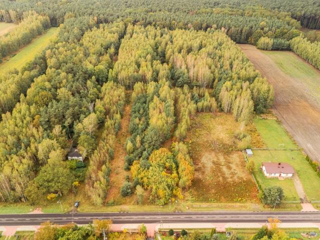 Własny las, cisza i zapach żywicy siedlisko