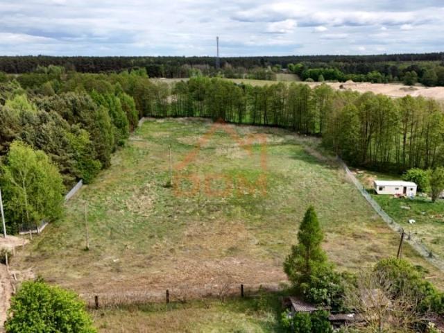 Zielona Dolina 11 000 m², Bożenkowo