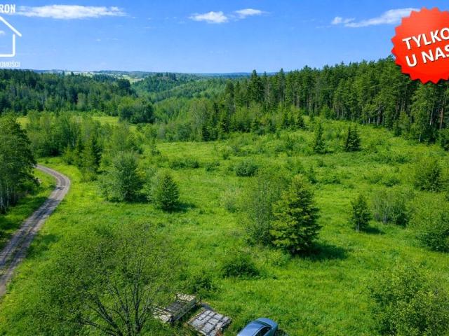 Zielona Dolina 39 239 m², Milwino
