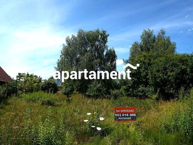 Zielona Góra 1 000 m², Zielona Góra