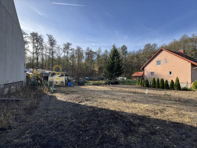 Działka 1025 m² z warunkami zabudowy i lasem w Krępie