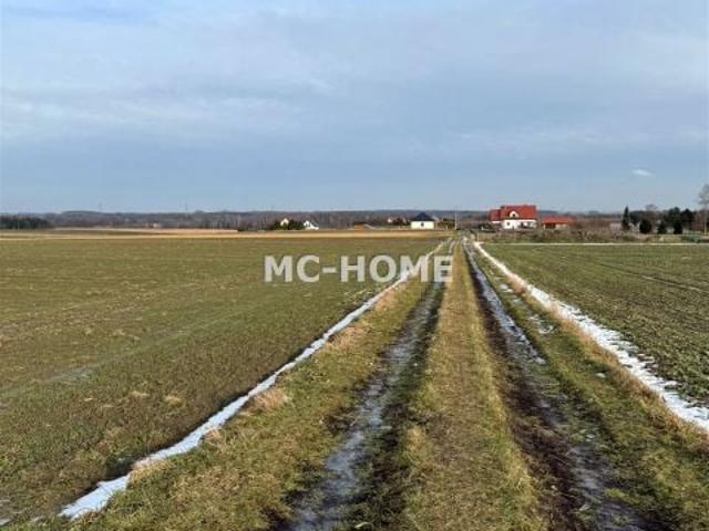 Zielona 15 801 m², Przezchlebie