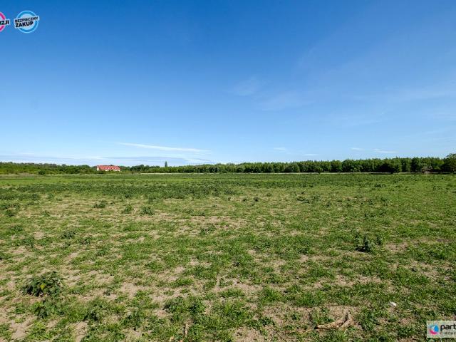 Zielona 17 777 m², Gdynia