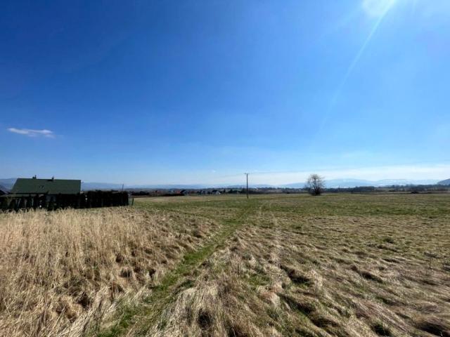 Zielona 1 805 m², Lipowa