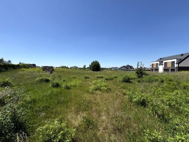 Zielona 2 434 m², Kuriany