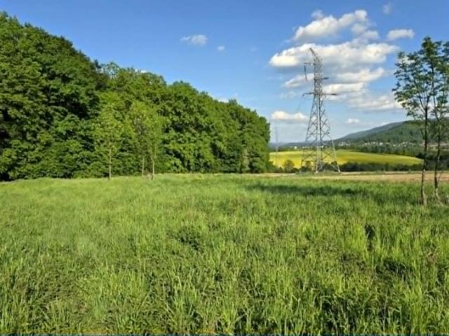 Zielona 3 000 m², Bażanowice