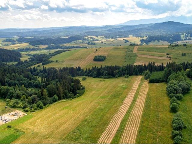 Zielona 3 047 m², Łapsze Wyżne